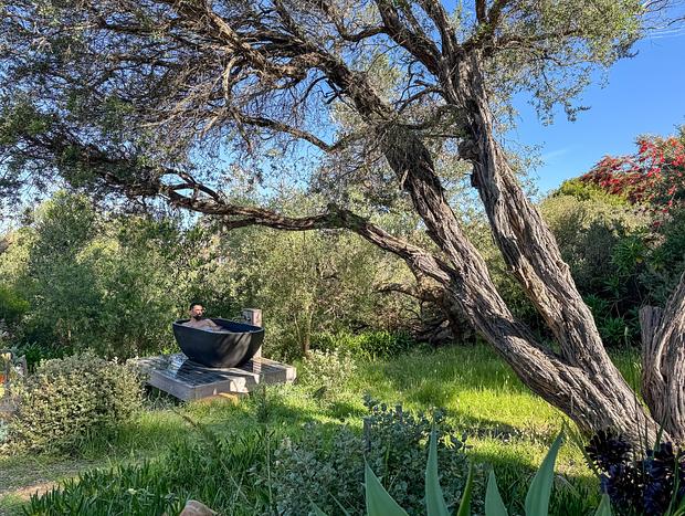 Photo 3 for Bushland Hideaway with Cinematic Outdoor Living