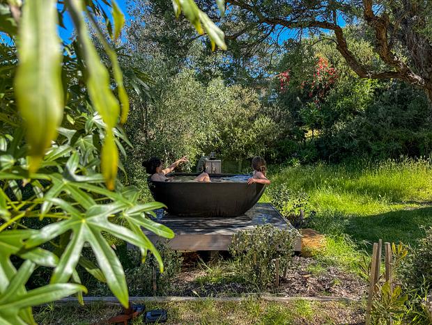 Photo 24 for Bushland Hideaway with Cinematic Outdoor Living