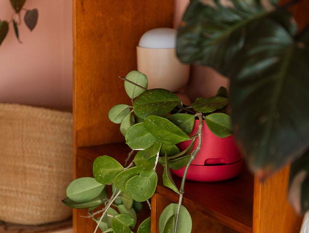 Photo 10 for The Apartment at La Casa Cubo