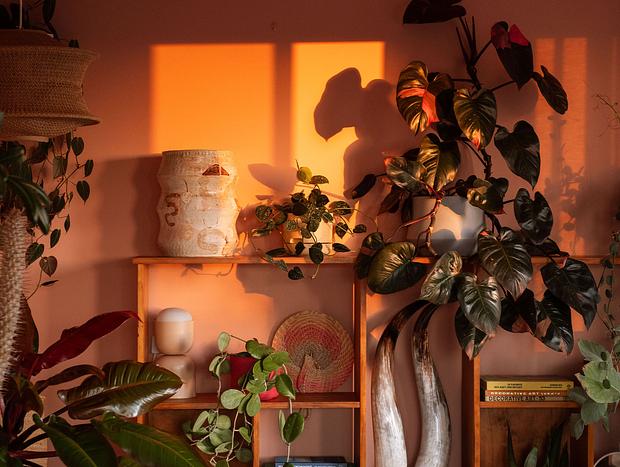 Photo 14 for The Apartment at La Casa Cubo