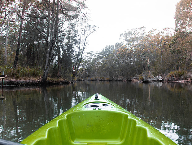 Photo 2 for Kayaking in the Waterway