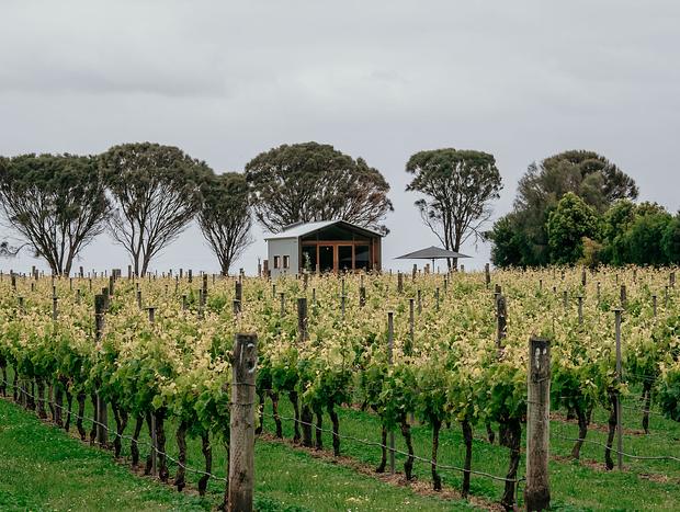 Photo 4 for Basalt Retreat - Tempranillo Villa