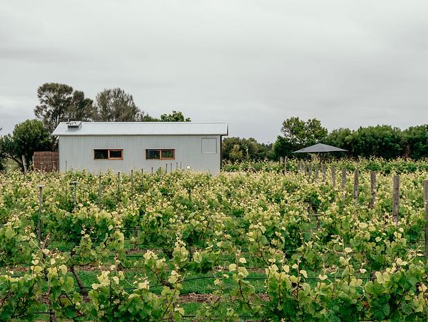 Photo 8 for Basalt Retreat - Pinot Noir Villa