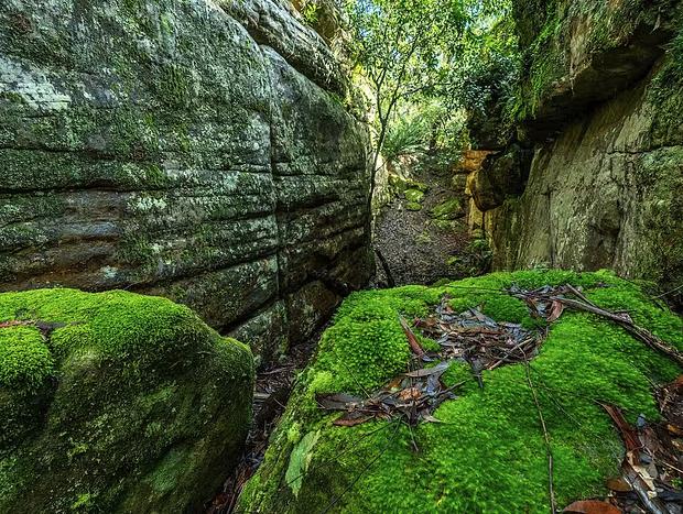 Photo 20 for The Hollows - Kangaroo Valley