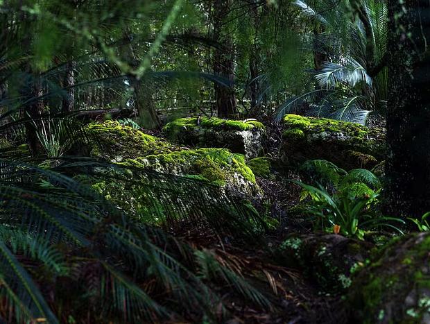 Photo 21 for The Hollows - Kangaroo Valley