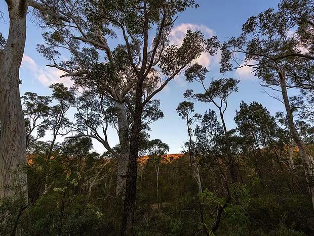 Photo 22 for The Hollows - Kangaroo Valley