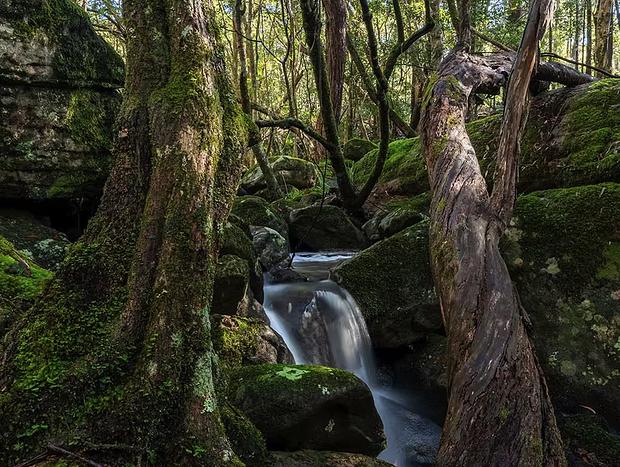 Photo 23 for The Hollows - Kangaroo Valley