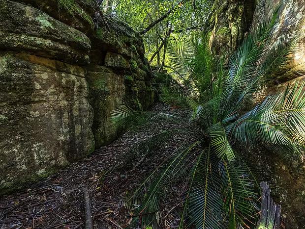 Photo 24 for The Hollows - Kangaroo Valley