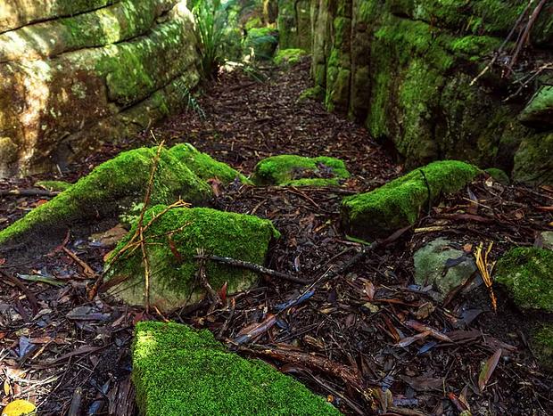 Photo 25 for The Hollows - Kangaroo Valley