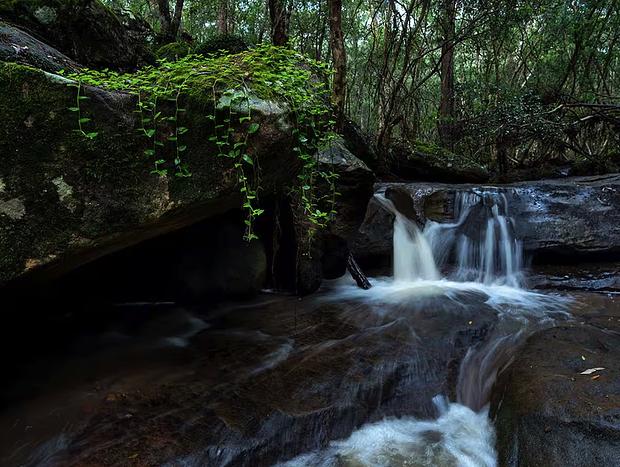 Photo 7 for The Hollows - Kangaroo Valley