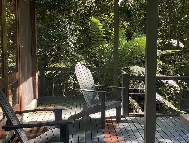 Photo 16 for Lyrebird House - Foxground Coastal Rainforest Retreat