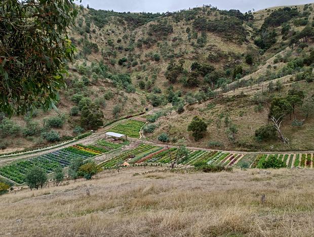 Photo 21 for Villa Minto | Luxury Flower Farm Stay