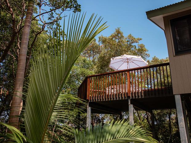 Photo 6 for Fairy Wren Byron Treetop Sanctuary