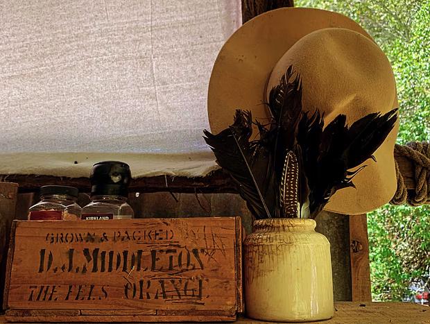 Photo 22 for Time Wood Pass Creekside Glamping Tent Stay