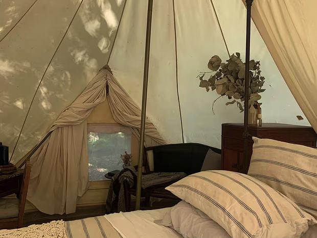Photo 8 for Time Wood Pass Creekside Glamping Tent Stay