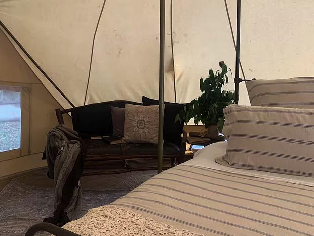 Photo 10 for Time Wood Pass Creekside Glamping Tent Stay