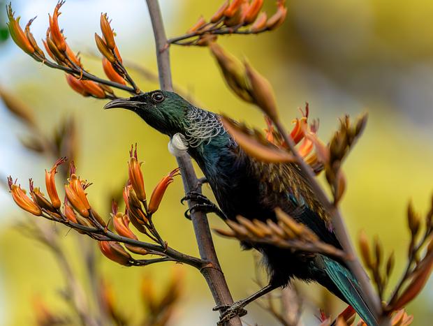 Photo 39 for Kaitake Coastal Oasis