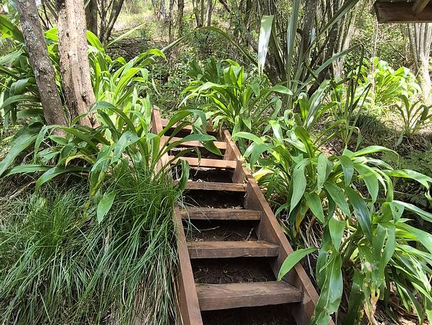 Photo 20 for Bliss Retreat - Tui Site