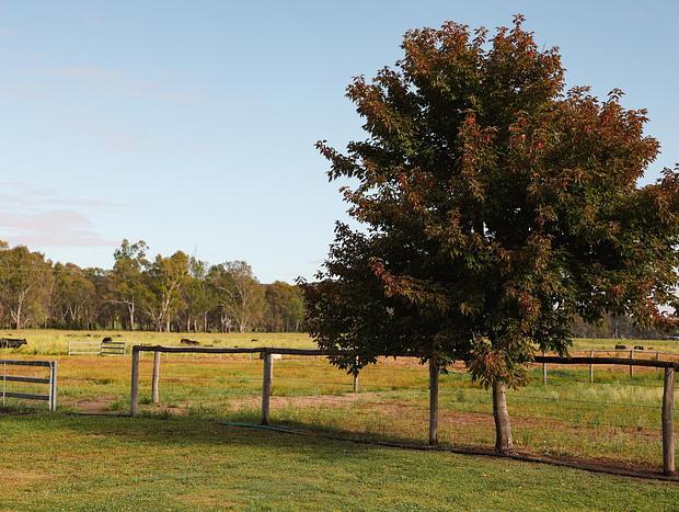 Photo 20 for Red Gum Retreat - A Peaceful Country Escape