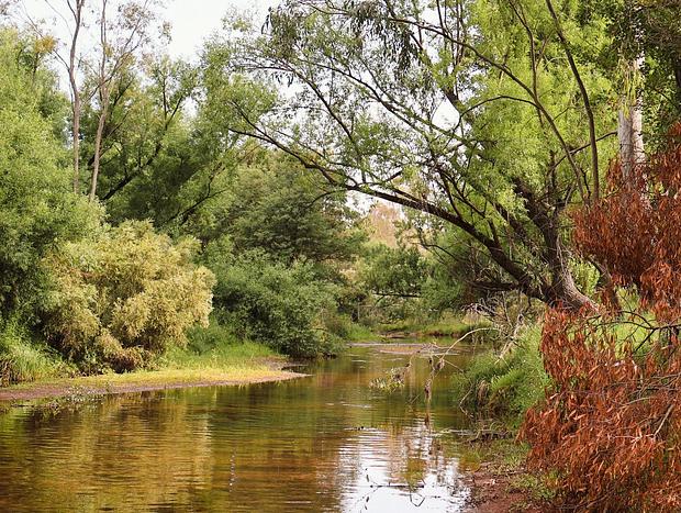 Photo 22 for Red Gum Retreat - A Peaceful Country Escape