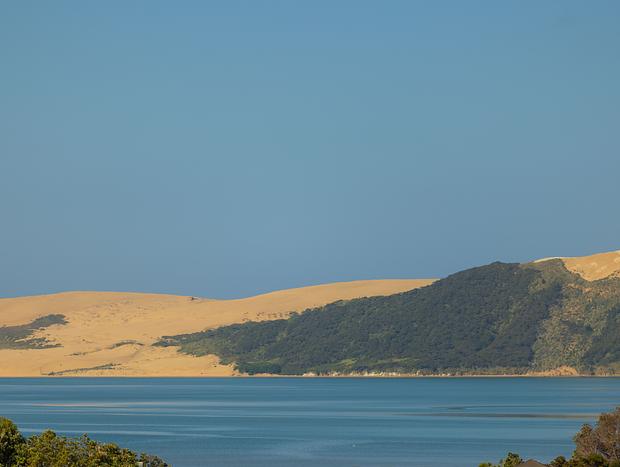 Photo 37 for Beyond the Last Turn: Koutu Cove