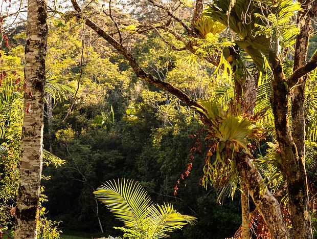 Photo 11 for Rose Gum Cottage - Eco-Luxe - Byron Hinterland