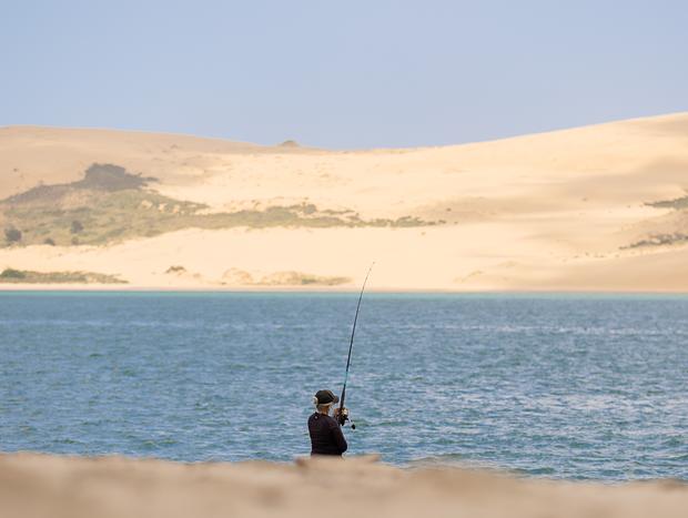 Photo 48 for Beyond the Last Turn: Koutu Cove