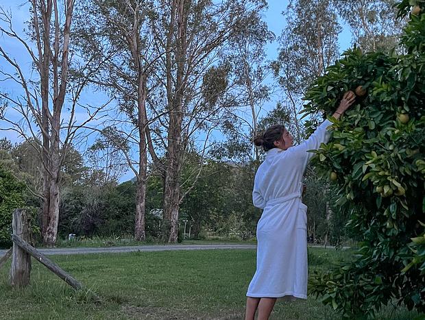 Photo 32 for Jolly Jumbuck- Stillness in Kangaroo Valley