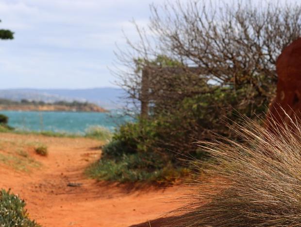 Photo 20 for Driftwood Studio - A Peaceful, Coastal Escape in Mount Martha