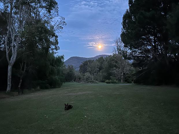 Photo 30 for Jolly Jumbuck- Stillness in Kangaroo Valley