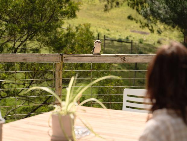 Photo 3 for Fairytale Retreat on Wild Dog Creek