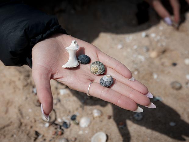 Photo 8 for Waves, Shells, and Rockpools