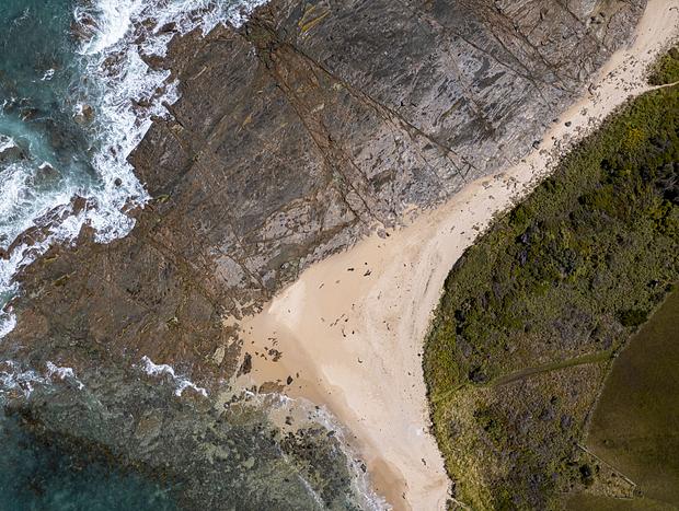 Photo 9 for Waves, Shells, and Rockpools