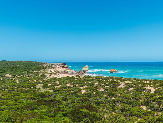 Photo 5 for Drive the Great Ocean Rd