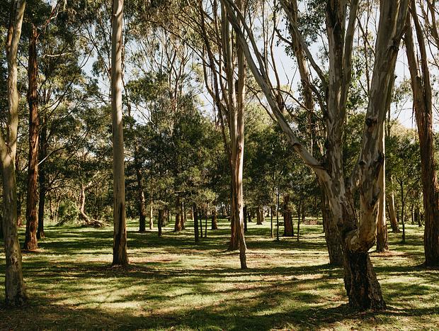 Photo 14 for Wattle Bank Bush Retreat