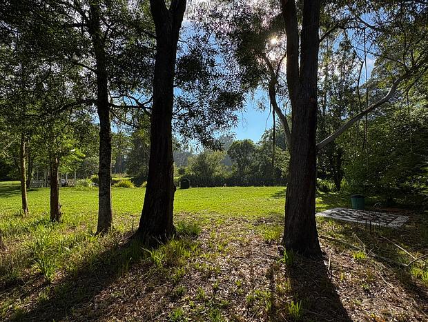 Photo 22 for Jolly Jumbuck- Stillness in Kangaroo Valley