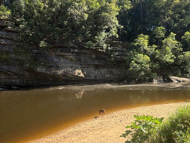 Photo 48 for Jolly Jumbuck- Stillness in Kangaroo Valley
