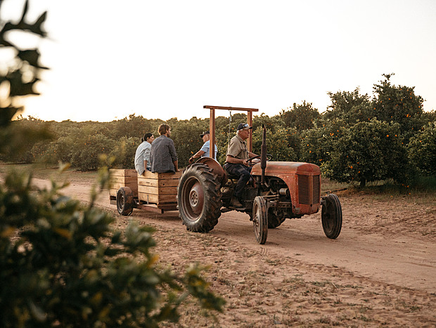 Photo 1 for Orange & Hazelnut Farm