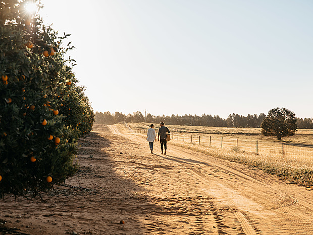 Photo 3 for Orange & Hazelnut Farm