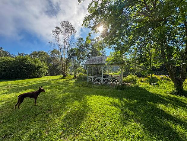 Photo 35 for Jolly Jumbuck- Stillness in Kangaroo Valley