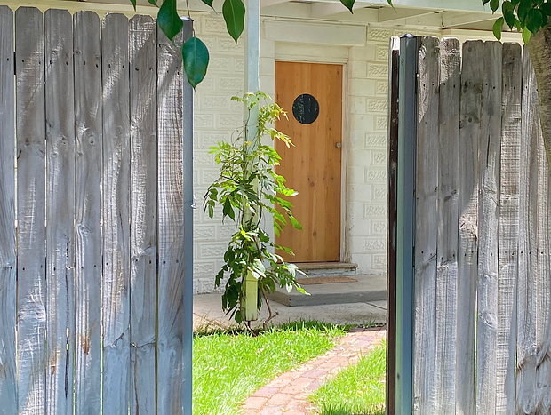 Photo 42 for The Special House - wabi sabi sanctuary in Ettalong Beach