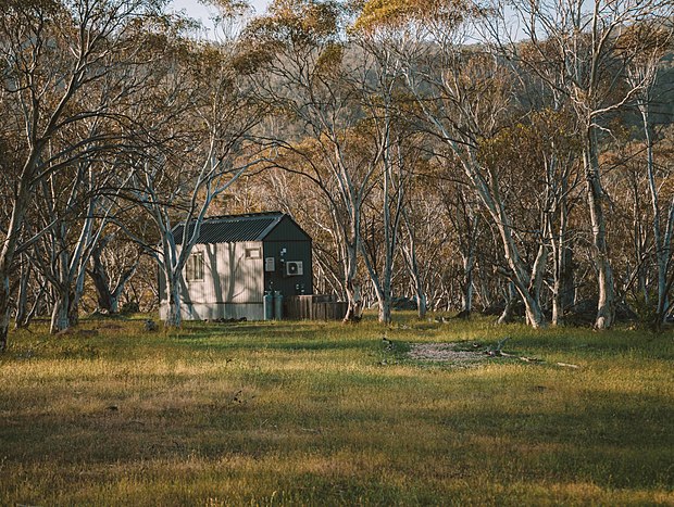 Photo 14 for Tiny House Surrounded by Snow Gums