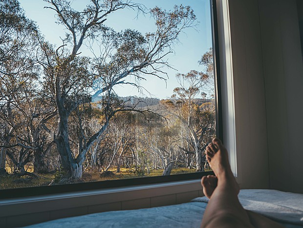 Photo 15 for Tiny House Surrounded by Snow Gums