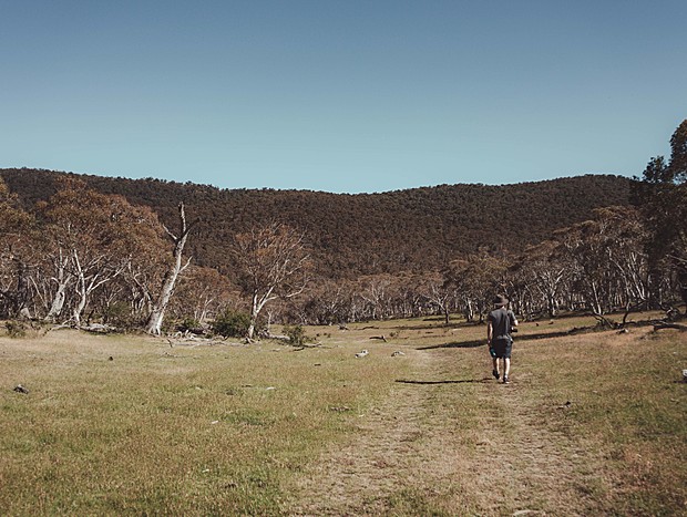 Photo 2 for Big Yard Escapes farm paddocks
