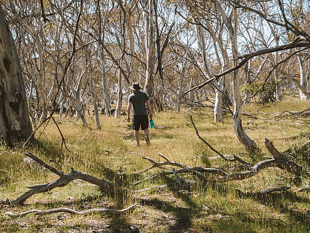 Photo 4 for Big Yard Escapes farm paddocks