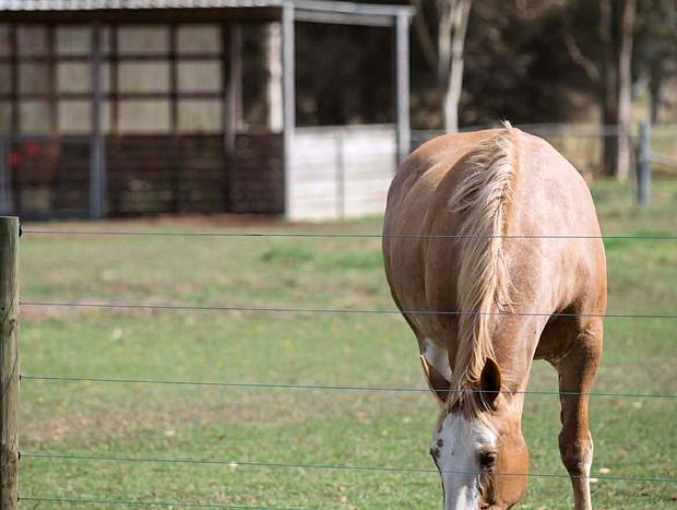 Photo 17 for Feather & Nest -Private Farm Stay | King Beds & Tennis Court