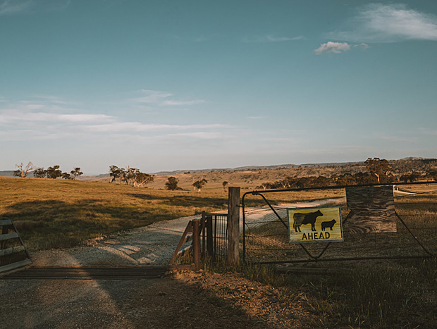 Photo 1 for Big Yard Escapes farm paddocks