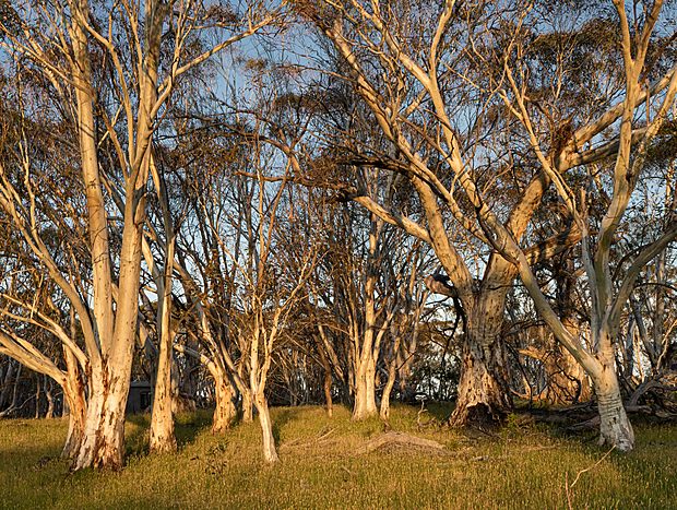 Photo 7 for Big Yard Escapes farm paddocks