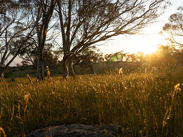 Photo 9 for Big Yard Escapes farm paddocks