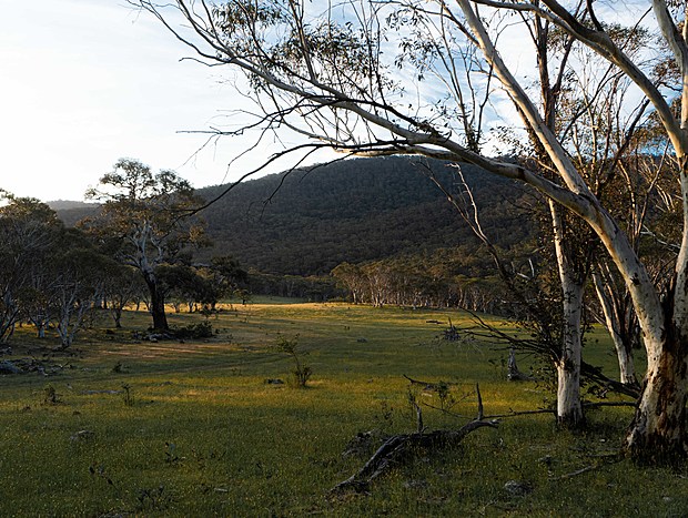 Photo 6 for Big Yard Escapes farm paddocks